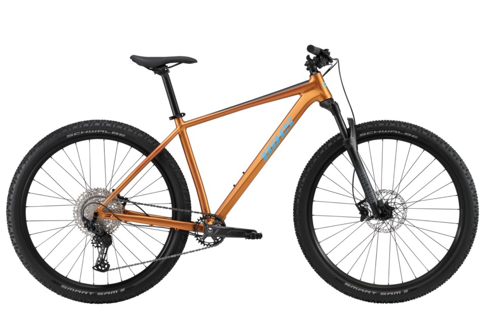 BiXS CORE 300 BROWN